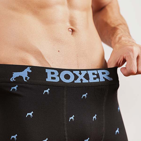 Boxer Original